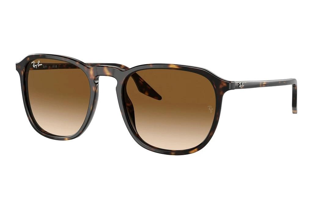 Предварительный просмотр Ray-Ban RB2203 902/51