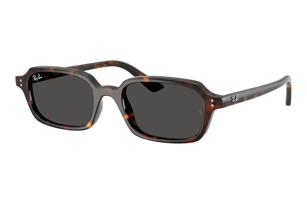 Предварительный просмотр Ray-Ban ZURI RB4455 135987